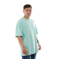CAMISETA HK OVERSIZE VERDE MENTA ESTAMPADO MONUMENT